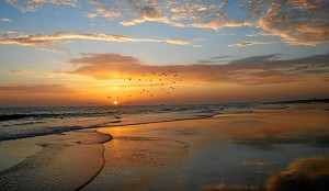 Las playas de Doñana. / Foto: playascalas.com.