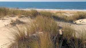 Las playas onubenses, otro de los emplazamientos del documental.