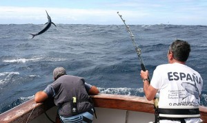 La Copa Príncipe de Asturias de pesca está convocada por la Federación Española de Pesca y Casting, con la colaboración de la Federación Andaluza de Pesca Deportiva.