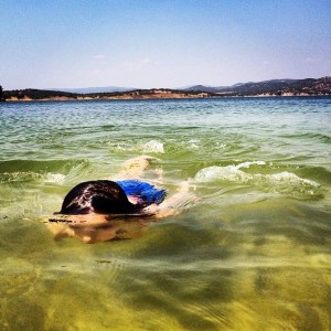 El ‘Lago verde’ de Aracena, de @javier_prieto, ha sido la segunda finalista.