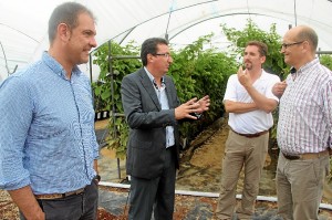 El presidente del PP de Huelva en una finca de Moguer.