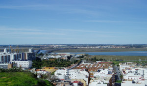 Vista panorámica de los puentes.