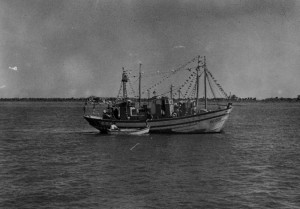 Por medio de fotos y vídeos se conocerá la evolución que ha tenido el sector pesquero en Punta.