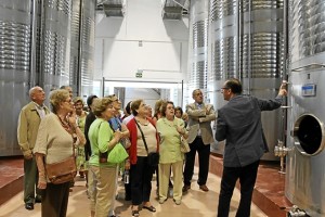 Los visitantes pudieron conocer una de las bodegas de la localidad.