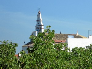 Corteconcepción celebra el Mes del Mayor. 