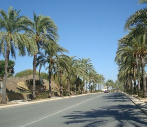 Antigua Avenida de las Naciones, en Palos de la Frontera.