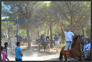 La actividad reúne a numerosos aficionados al caballo.