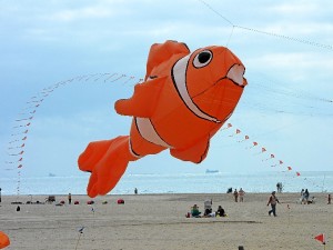 Fue una jorna intensa en la playa.