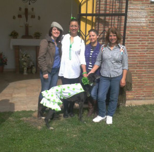 Rosaura y Mari Carmen con dos voluntarias y Montse, una galgo.