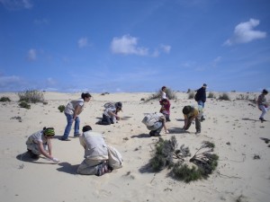 Recogida de Plomos en el cerro de los Ánsares.