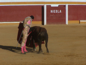 La novillada fue desigual.