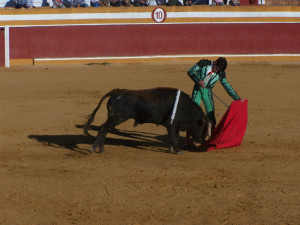 Con esta novillada se pone punto y final a la temporada taurina en la provincia de Huelva.