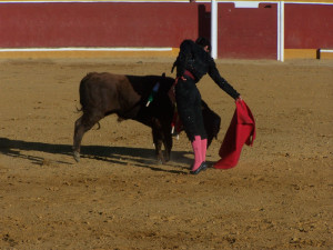 Su primer toro fue noble. 