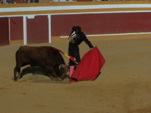 Tarde de toros en Niebla. 