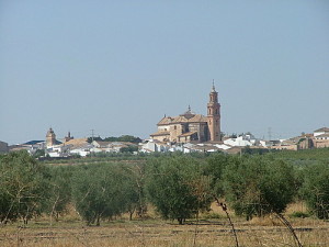 Diversos estudios sitúan el origen de la manzanilla en este pueblo onubense. 