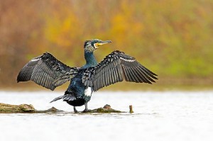 La naturaleza en Huelva brinda imágenes como ésta. 