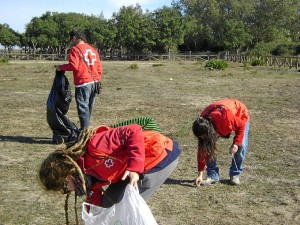 Los voluntarios han participado activamente en esta actividad. 