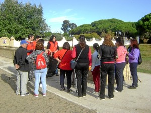 En la actividad han participado 20 voluntarios. 