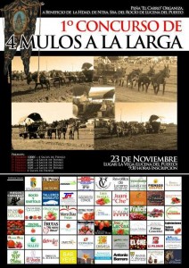 Cartel del concurso