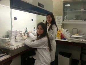 Cristina Domínguez y Zaida Montero trabajando en el tema de investigación.