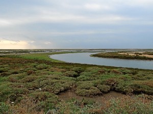 Dúnala nació en la isla Saltés, en plena Ría de Huelva. / Foto: imagina65.blospot.com.