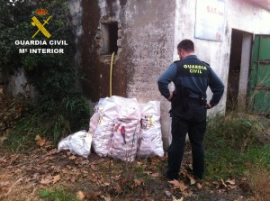 La Guardia Civil junto a parte de las frutas robadas.