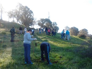 El objetivo de las actividades es dar a conocer las especies del parque.