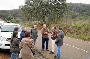 Un momento de la plantación de encinas. 