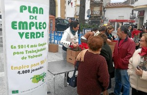 En la localidad se han regalado flores de Pascua a los vecinos.