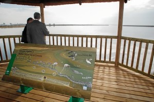 El mirador permite contemplar las aves de la Reserva Natural de la Isla de Enmedio. / Foto: José Carlos Palma.