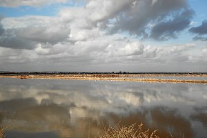 Una belleza natural a sólo cinco minutos de la capital onubense. / Foto: José Carlos Palma