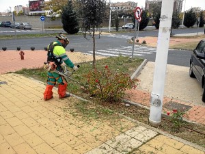 Un operario llevando a cabo tareas de mantenimiento en una zona ajardinada.