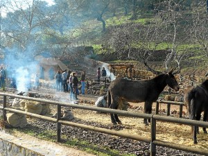 Imagen de la edición de 2012 del Belén Viviente. 