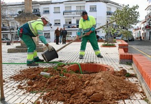 Los operarios reponiendo árboles.