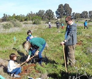 La actividad ha consistido en plantar un árbol. 