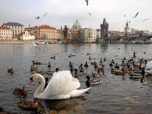 Una bella imagen de Praga, otra de las ciudades en las que ha estado. 