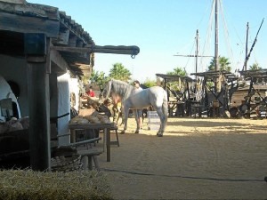 El mercado temático del Muelle de las Carabelas.