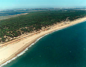 Playa de La Bota en Punta Umbría. / Foto: Ministerio de Medio Ambiente. 