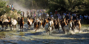 A León le gusta fotografiar ferias y eventos tradicionales, como la saca de las yeguas.