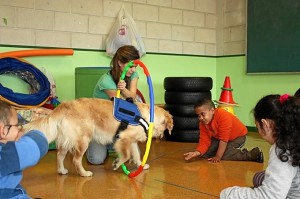 al tomarse las sesiones como un juego, se llega mejor al paciente. / Foto: mundoperro.es