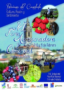 Cartel de la Feria de Rociana. 