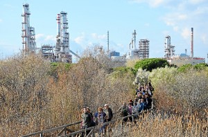 Durante la jornada de Puertas Abiertas se realiza una visita a la Laguna Primera de Palos. 