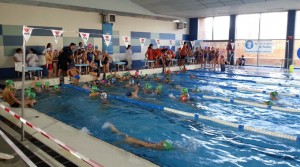 El VIII Trofeo San Sebastian de Escuelas de Natación fue un éxito.