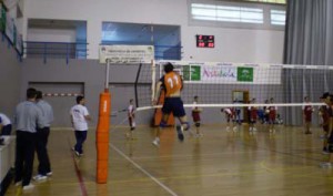 El voleibol será el gran protagonista en Aracena el próximo domingo.