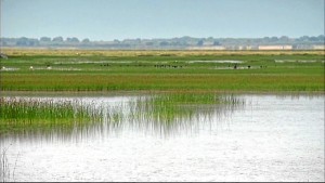 La Marismas de Hinojos, posible ubicación de la Atlántida.