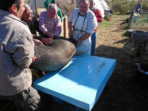 El carnicero José Luis Barro, en una matanza reciente. 