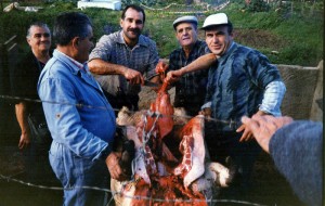 La matazanda es un momento de encuentro familiar y de amigos que no se olvida. 