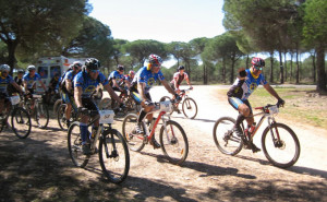 Casi 200 ciclistas tomaron parte en la ruta aljaraqueña.