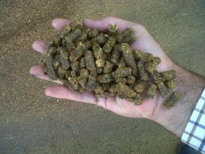 Pellets para alimentar el ganado.