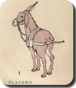 Platero2